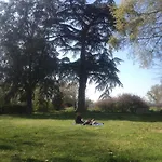 Chateau Pierre De Lune Bed and Breakfast