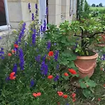 Chateau Pierre De Lune Bed and Breakfast 3*