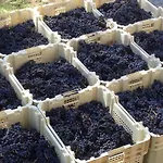 Chateau Pierre De Lune