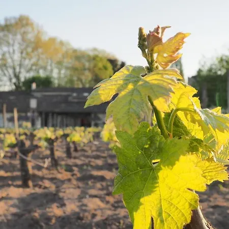 Chateau Pierre De Lune Σεντ Εμιλιόν