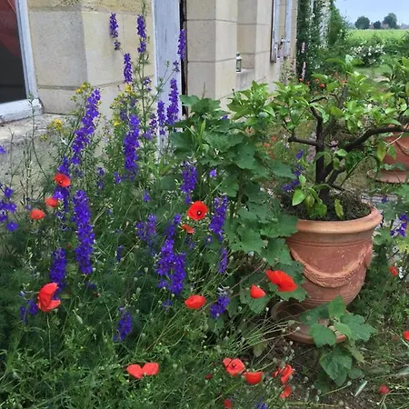 Chateau Pierre De Lune Frühstückspension *