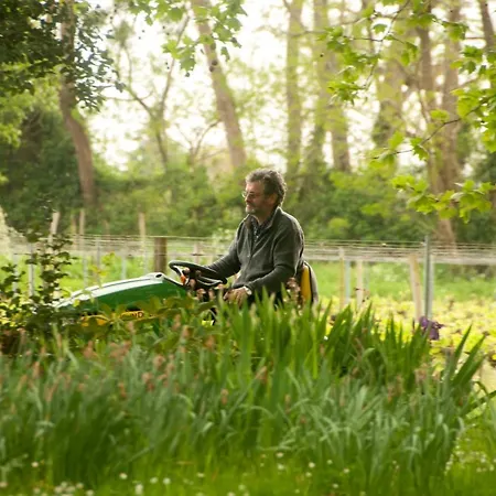Chateau Pierre De Lune Oda ve Kahvaltı Saint-Émilion