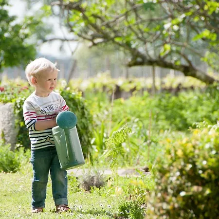 Oda ve Kahvaltı Chateau Pierre De Lune 3*