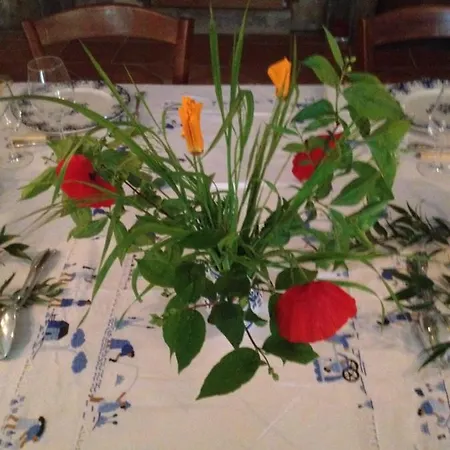 Oda ve Kahvaltı Chateau Pierre De Lune