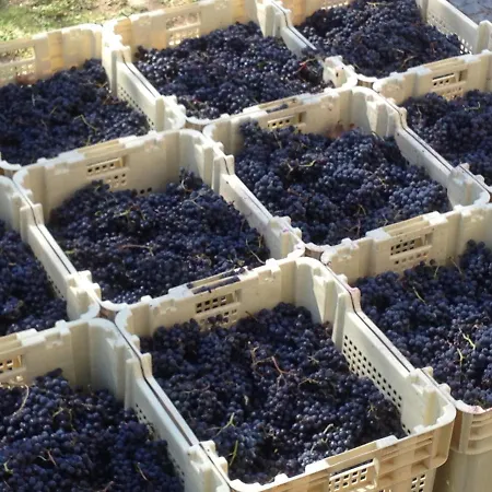 Chateau Pierre De Lune