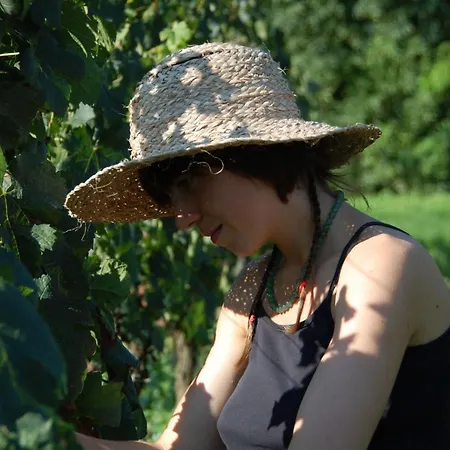 Chateau Pierre De Lune Bed & Breakfast