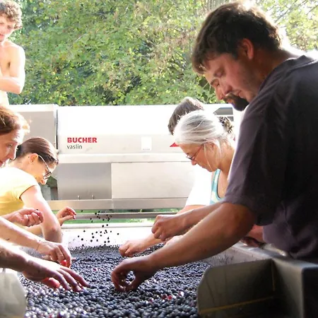 Oda ve Kahvaltı Chateau Pierre De Lune Saint-Émilion