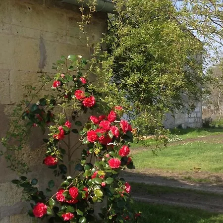 Chateau Pierre De Lune Saint-Émilion