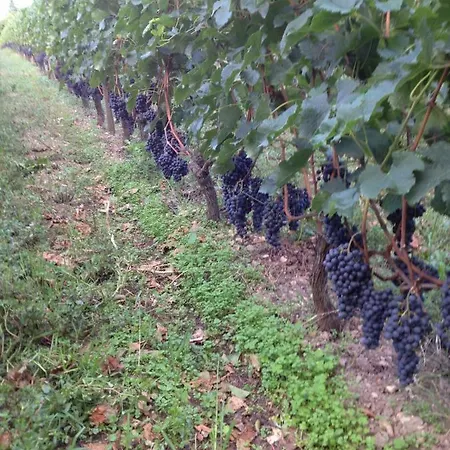 Chateau Pierre De Lune Frühstückspension