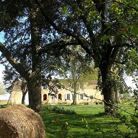 Chateau Pierre De Lune 3*