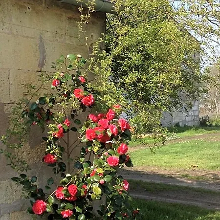 Chateau Pierre De Lune Saint-Émilion