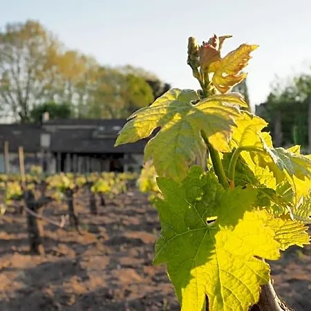 Chateau Pierre De Lune 3*