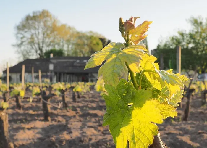 Chateau Pierre De Lune סנט-אמיליון