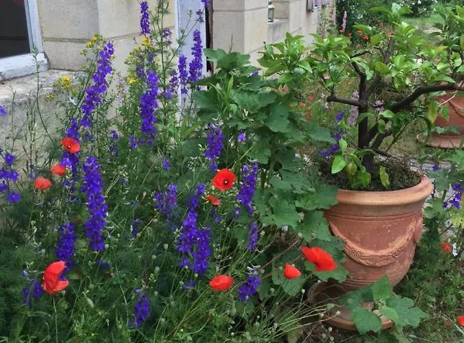 Chateau Pierre De Lune Bed & Breakfast 3*