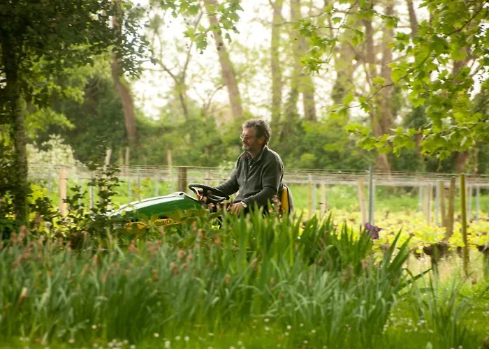 Chateau Pierre De Lune לינה וארוחת בוקר סנט-אמיליון