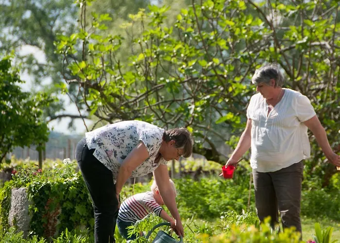 Chateau Pierre De Lune