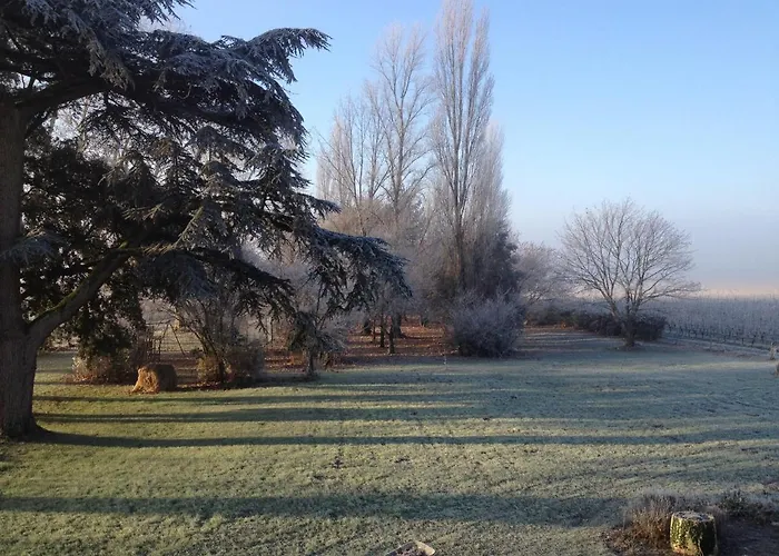 Chateau Pierre De Lune לינה וארוחת בוקר סנט-אמיליון