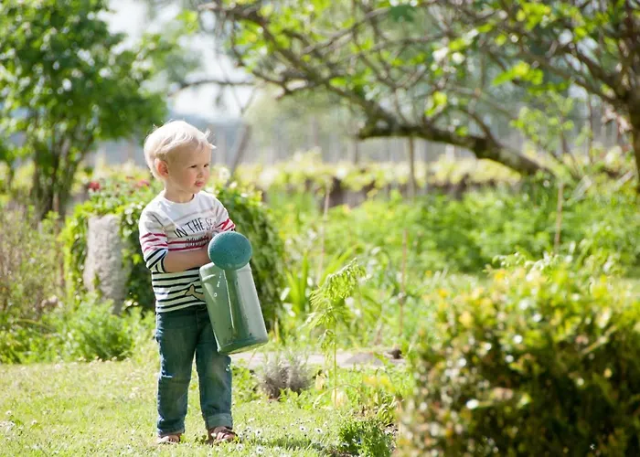 לינה וארוחת בוקר Chateau Pierre De Lune 3*