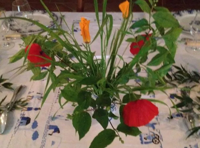 Bed & Breakfast Chateau Pierre De Lune