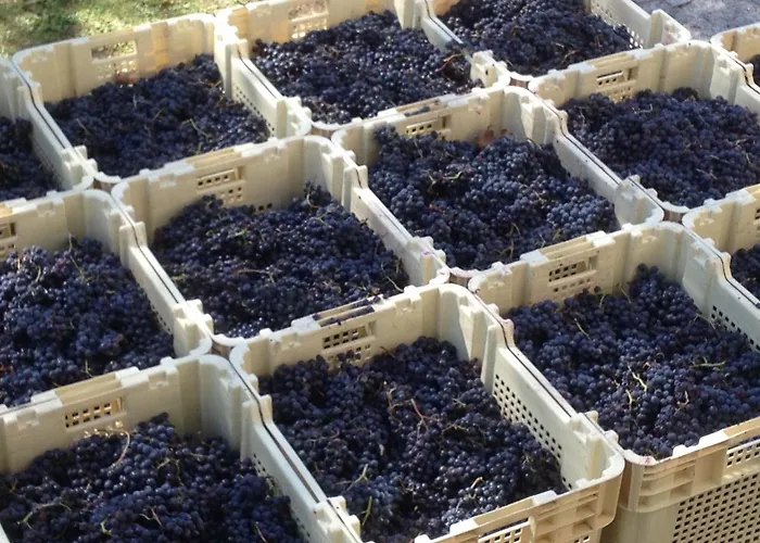 Chateau Pierre De Lune