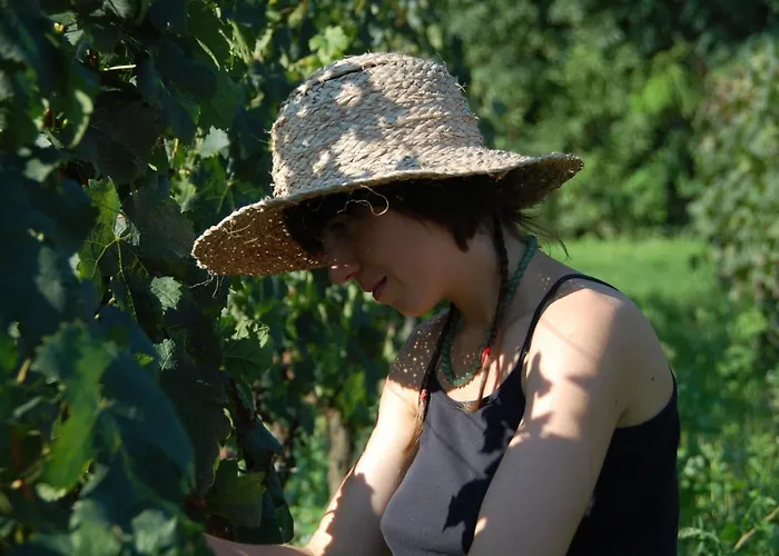 Chateau Pierre De Lune לינה וארוחת בוקר