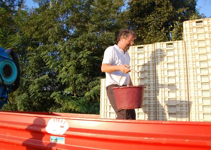 לינה וארוחת בוקר Chateau Pierre De Lune סנט-אמיליון