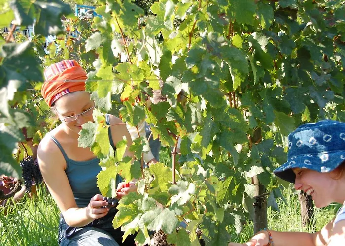 Chateau Pierre De Lune 3*