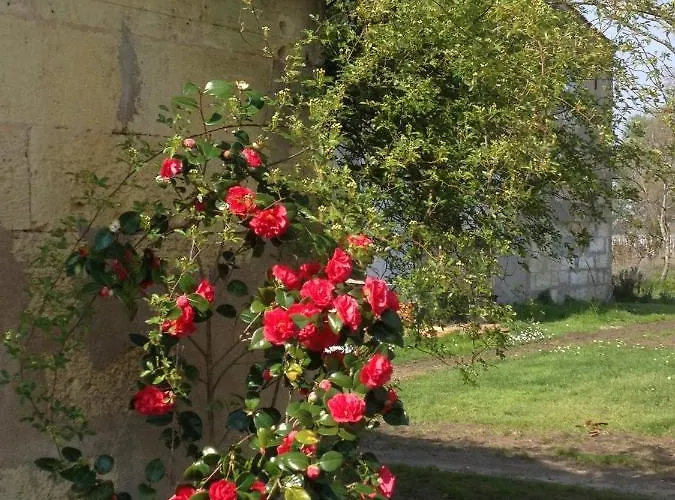 Chateau Pierre De Lune Saint-Émilion