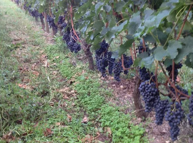 Chateau Pierre De Lune לינה וארוחת בוקר