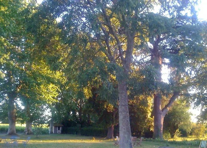 Bed & Breakfast Chateau Pierre De Lune